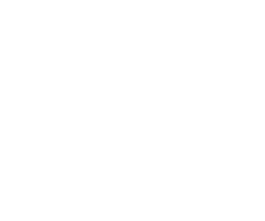 story_text